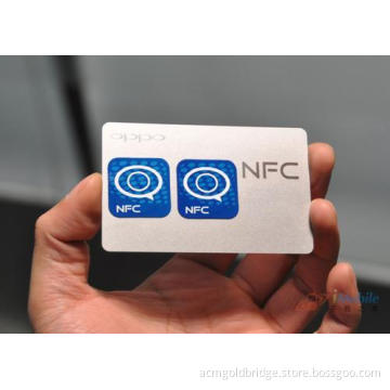 Various Landyard for Ntag203 Nfc Epoxy Key Tag